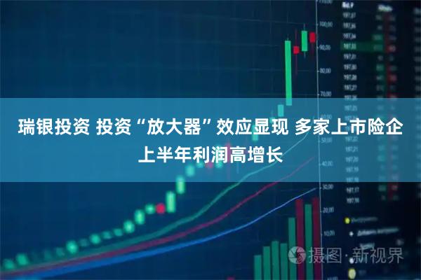 瑞银投资 投资“放大器”效应显现 多家上市险企上半年利润高增长